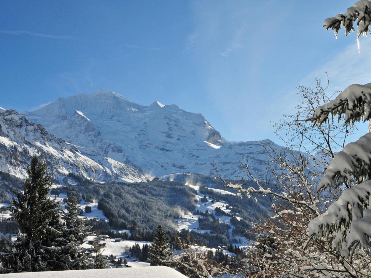 Apartment Panorama By Interhome Wengen Esterno foto